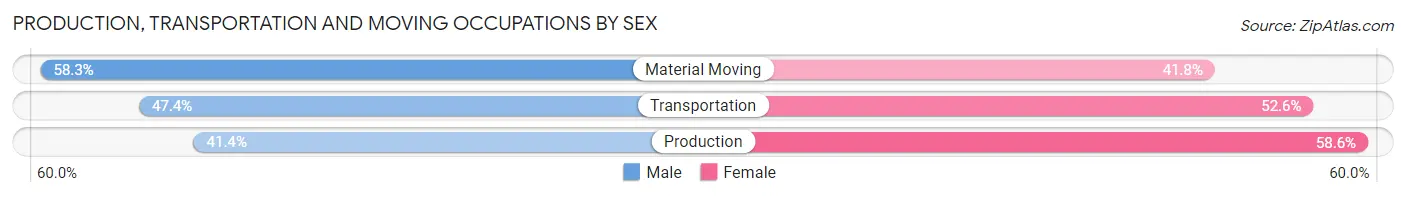 Production, Transportation and Moving Occupations by Sex in Manchester