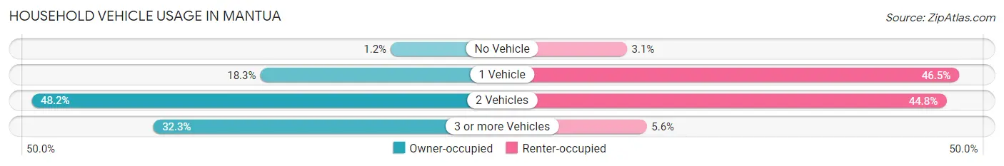 Household Vehicle Usage in Mantua