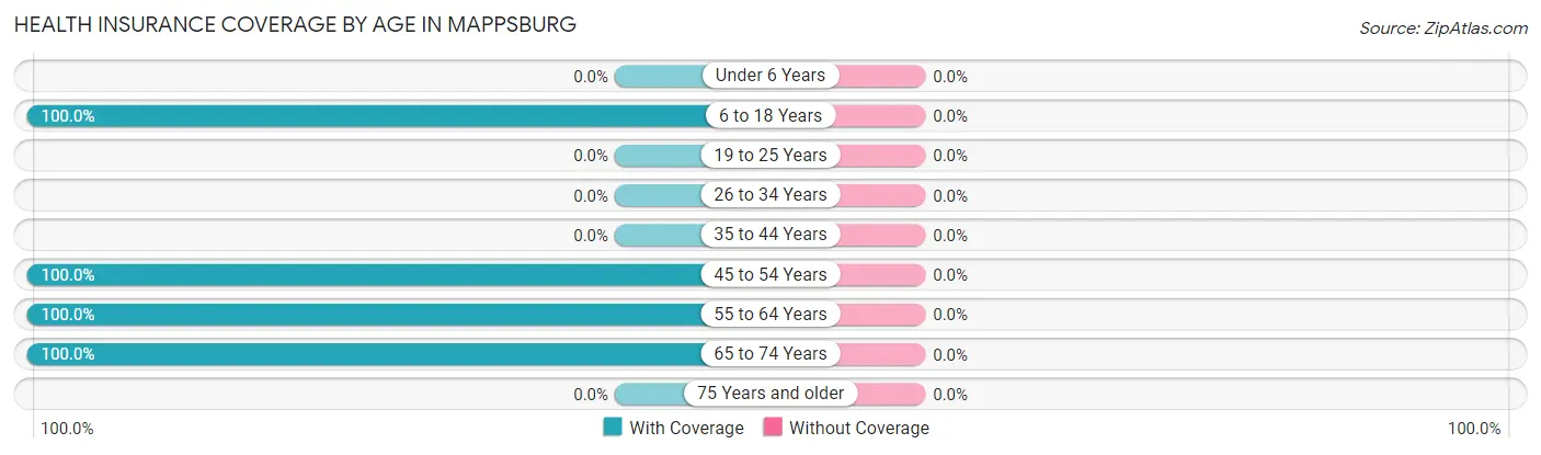 Health Insurance Coverage by Age in Mappsburg