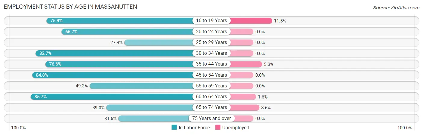 Employment Status by Age in Massanutten