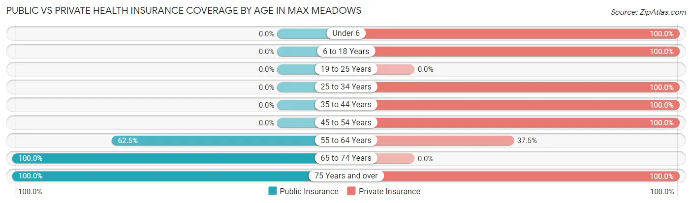 Public vs Private Health Insurance Coverage by Age in Max Meadows