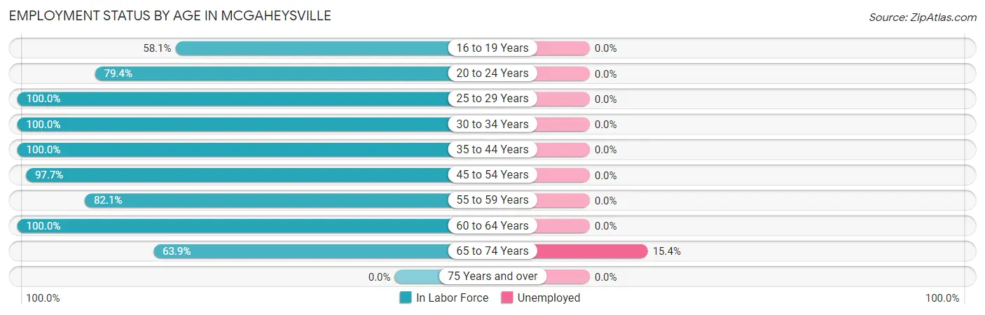 Employment Status by Age in McGaheysville