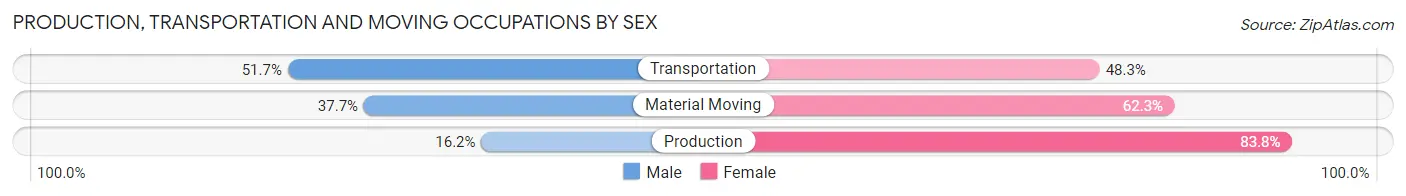 Production, Transportation and Moving Occupations by Sex in McGaheysville