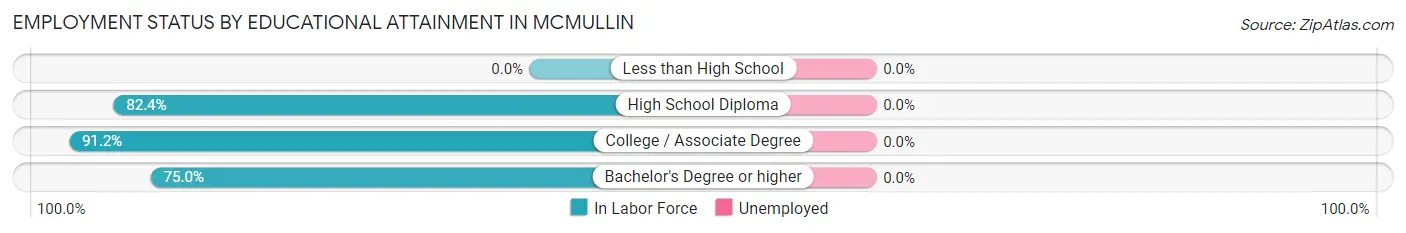 Employment Status by Educational Attainment in McMullin
