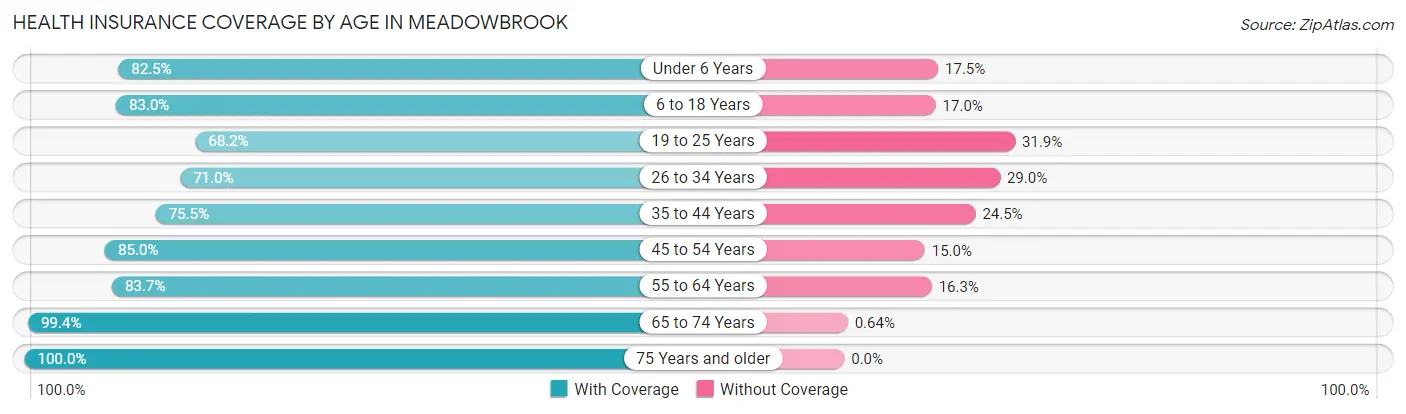 Health Insurance Coverage by Age in Meadowbrook