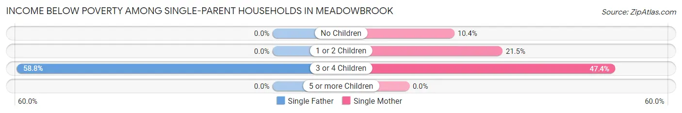 Income Below Poverty Among Single-Parent Households in Meadowbrook