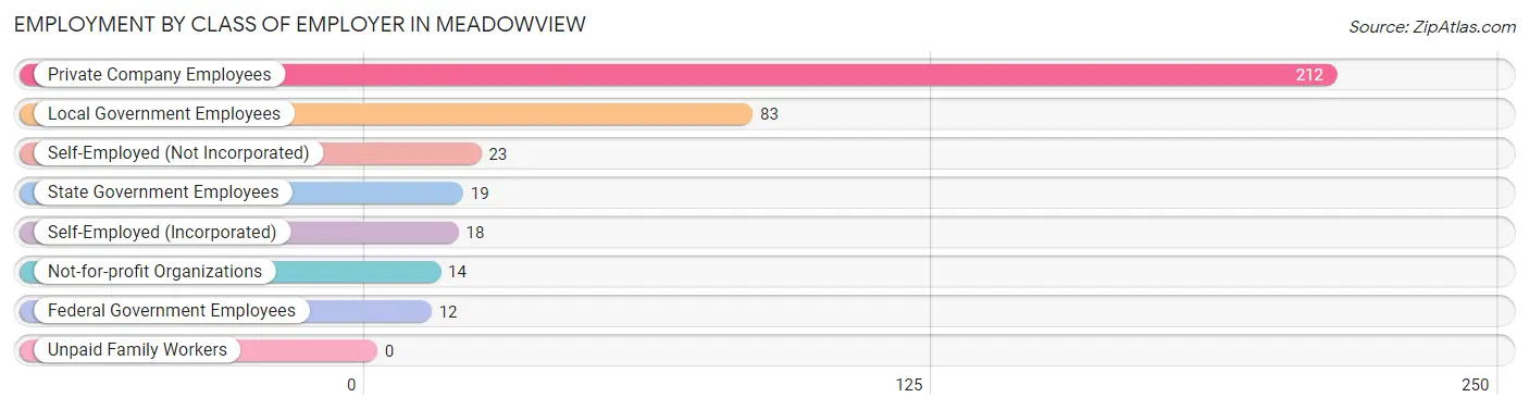 Employment by Class of Employer in Meadowview