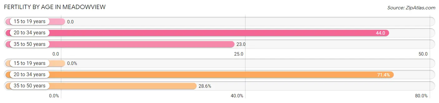 Female Fertility by Age in Meadowview