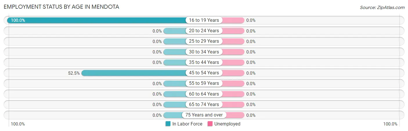 Employment Status by Age in Mendota
