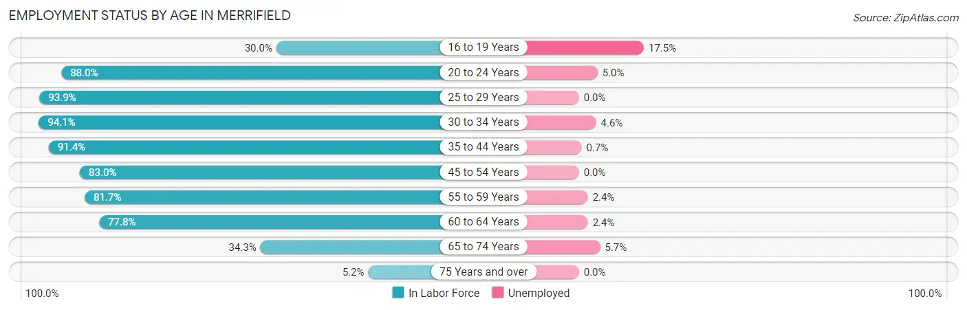 Employment Status by Age in Merrifield