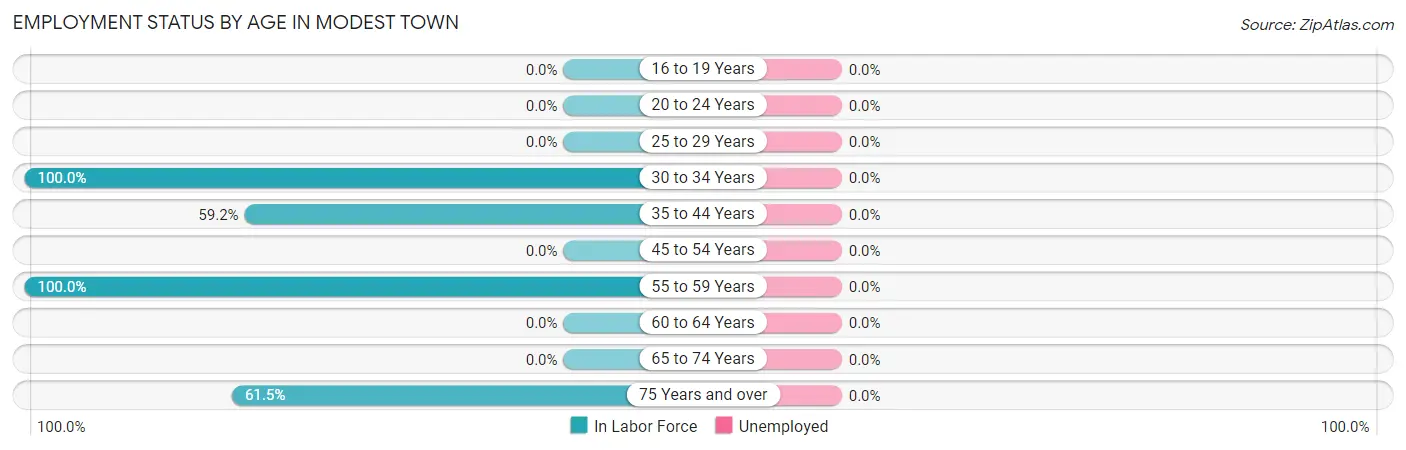 Employment Status by Age in Modest Town