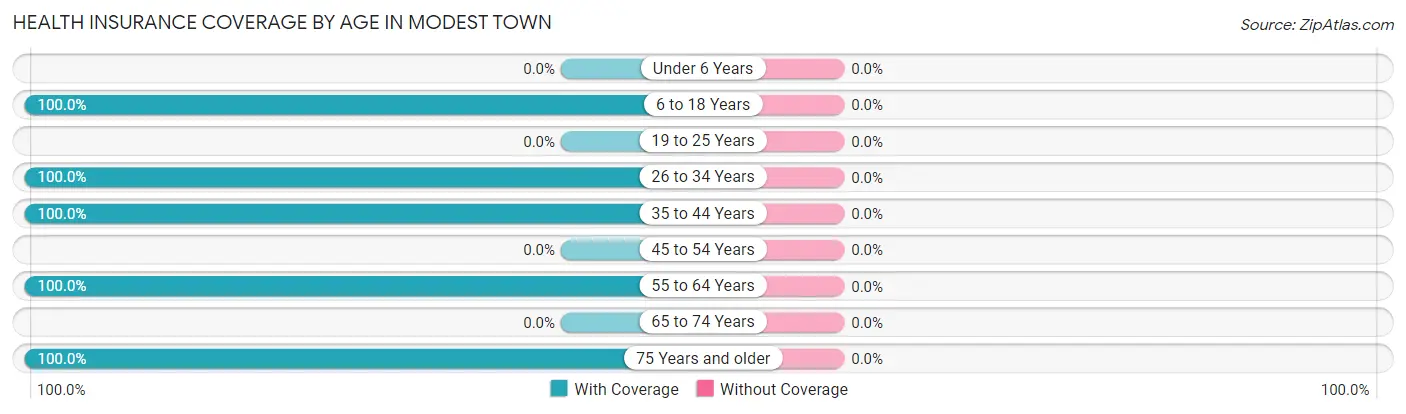 Health Insurance Coverage by Age in Modest Town