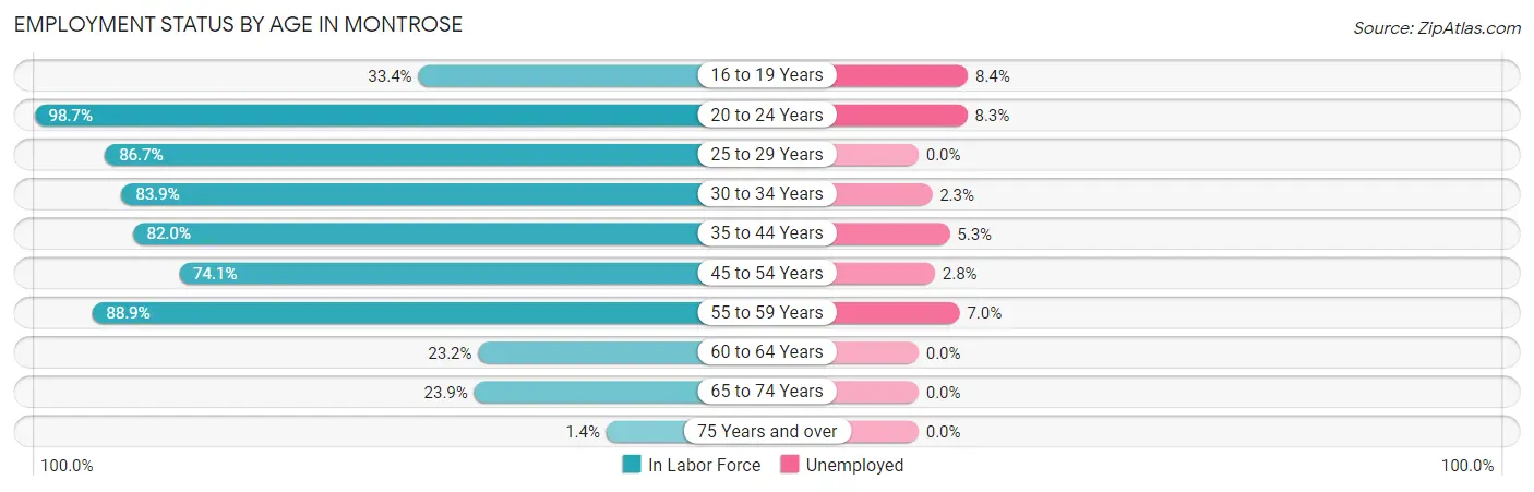 Employment Status by Age in Montrose