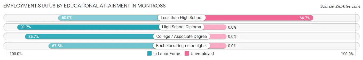 Employment Status by Educational Attainment in Montross