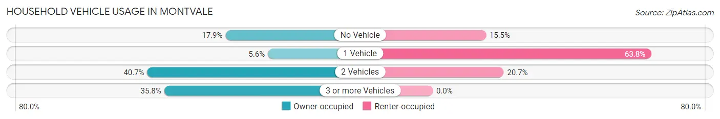 Household Vehicle Usage in Montvale