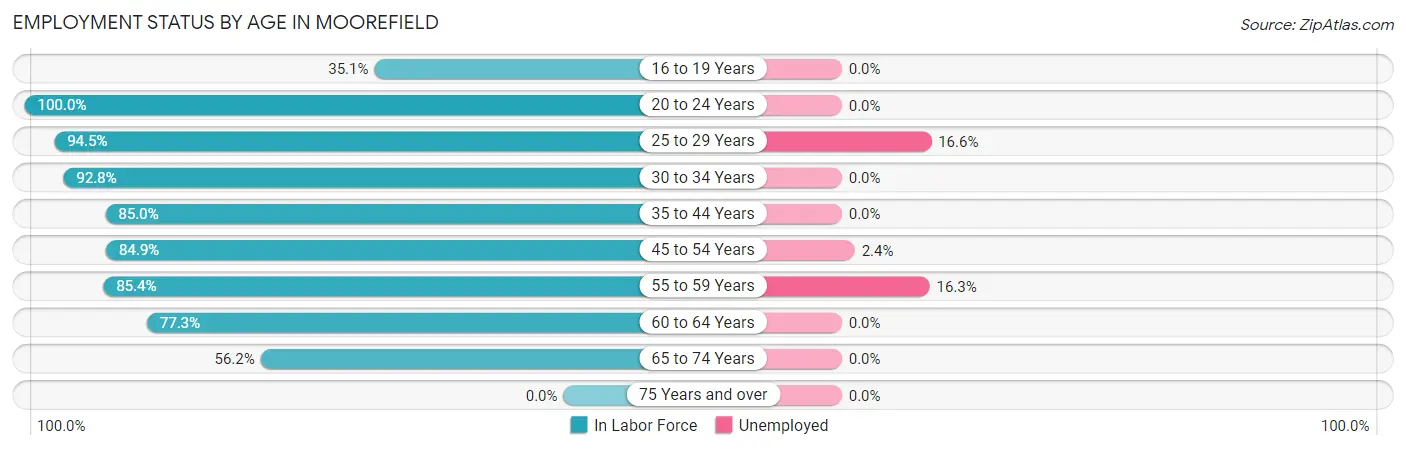 Employment Status by Age in Moorefield