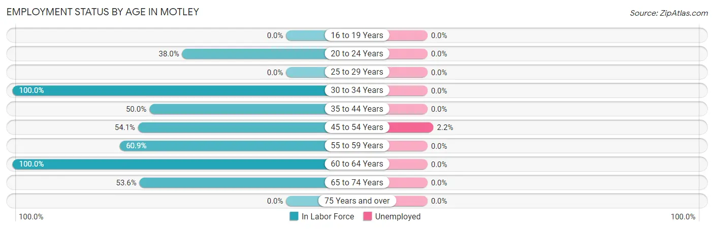 Employment Status by Age in Motley