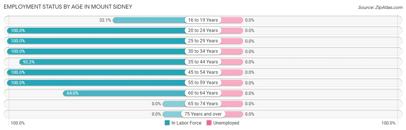 Employment Status by Age in Mount Sidney