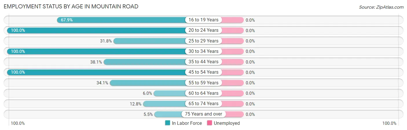 Employment Status by Age in Mountain Road
