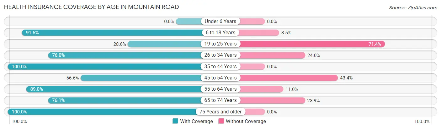 Health Insurance Coverage by Age in Mountain Road