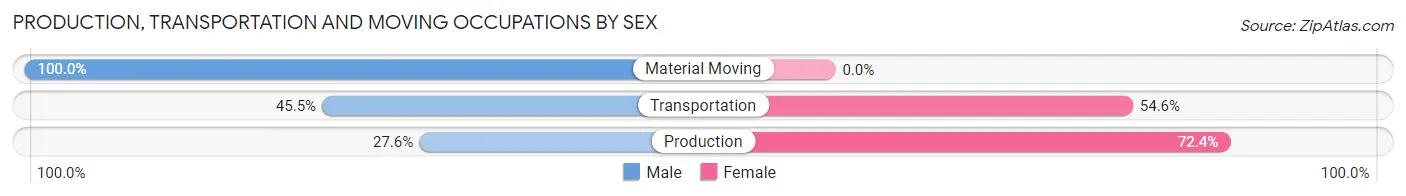 Production, Transportation and Moving Occupations by Sex in Mountain Road