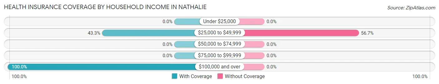 Health Insurance Coverage by Household Income in Nathalie