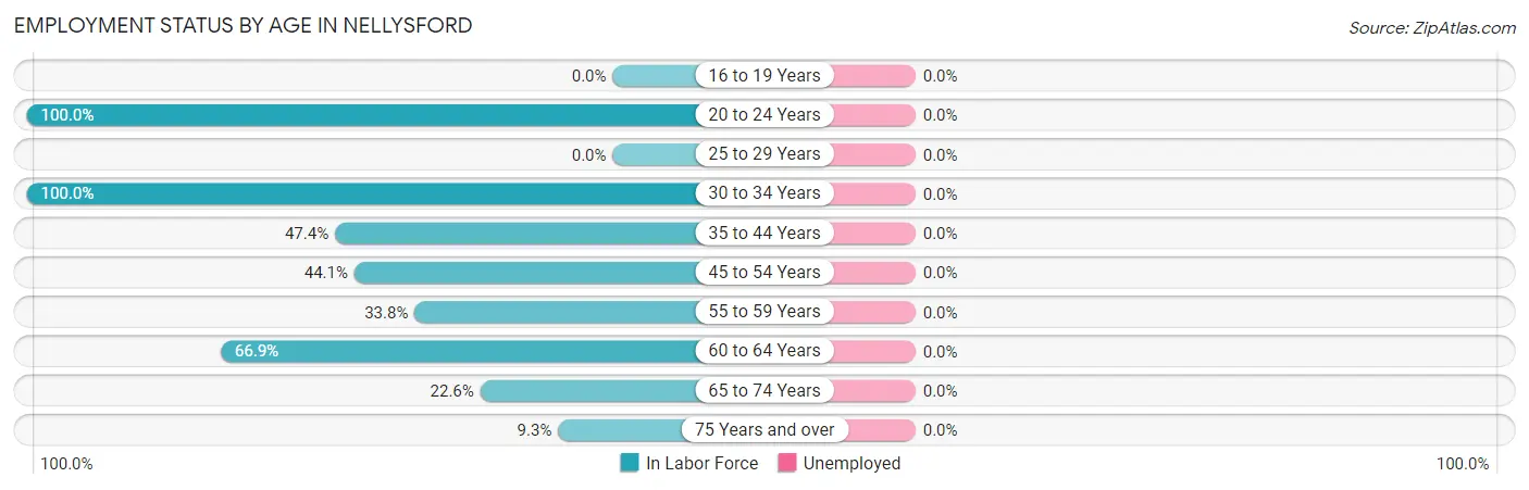 Employment Status by Age in Nellysford
