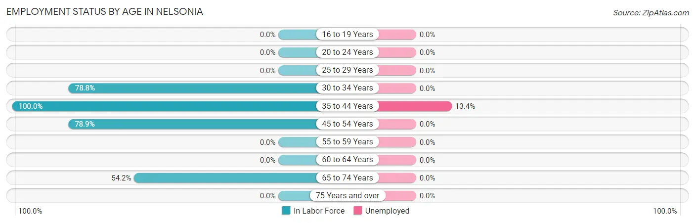 Employment Status by Age in Nelsonia
