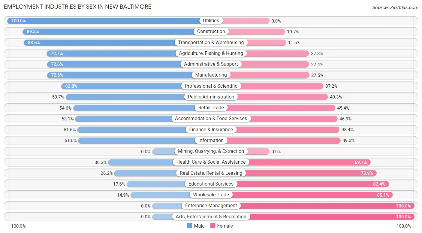 Employment Industries by Sex in New Baltimore