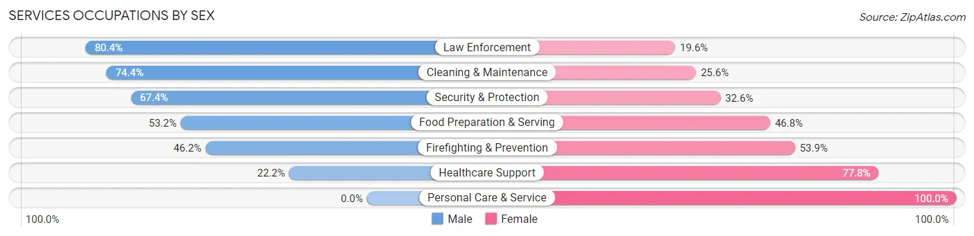 Services Occupations by Sex in New Baltimore