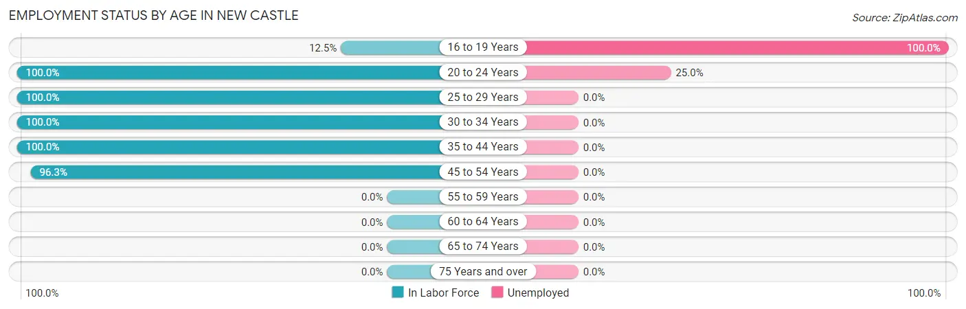 Employment Status by Age in New Castle
