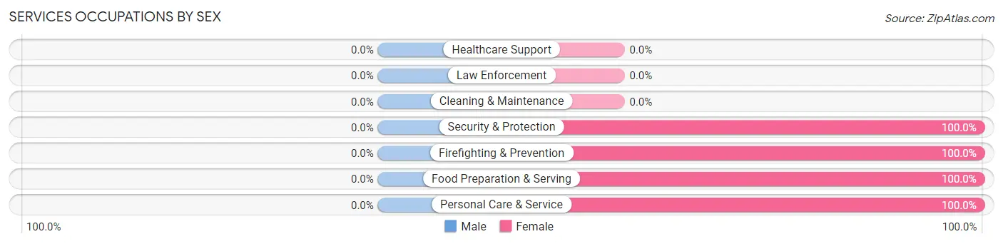 Services Occupations by Sex in New Castle
