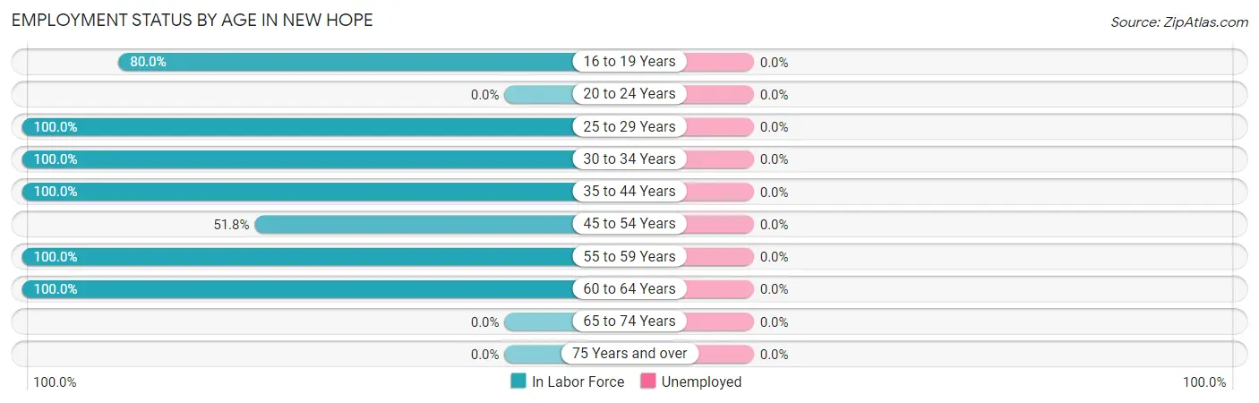 Employment Status by Age in New Hope