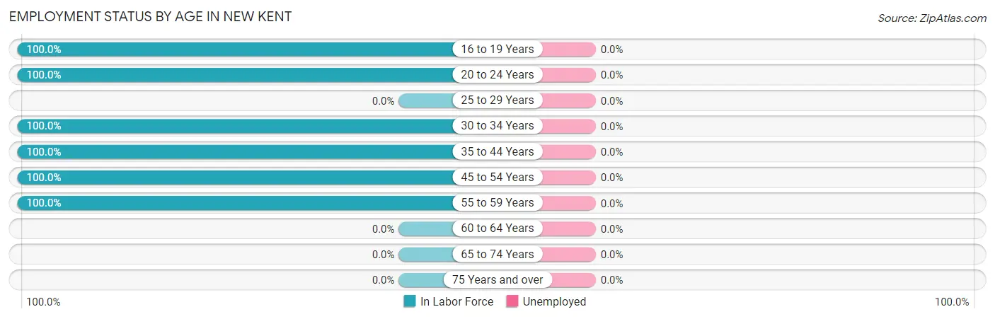 Employment Status by Age in New Kent