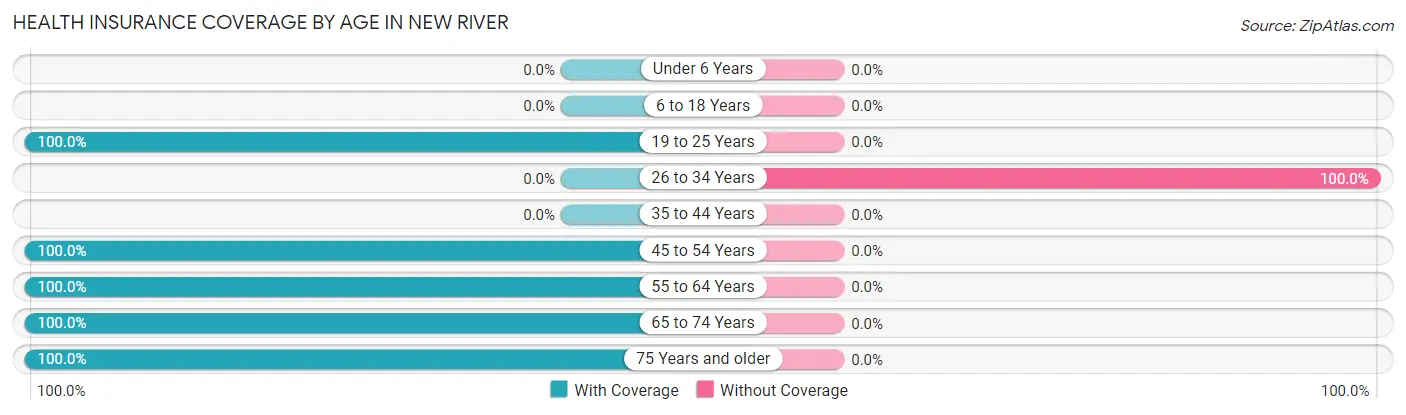 Health Insurance Coverage by Age in New River