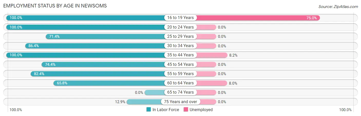 Employment Status by Age in Newsoms