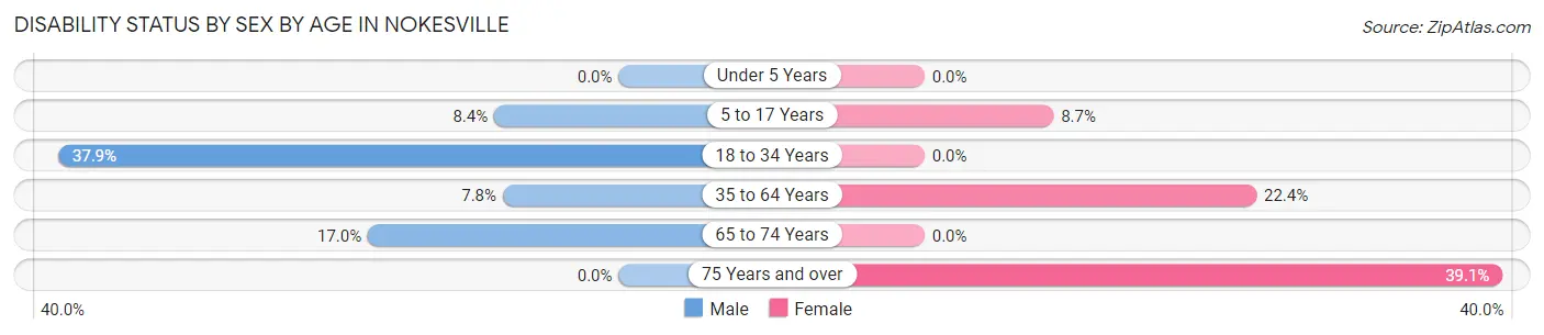 Disability Status by Sex by Age in Nokesville