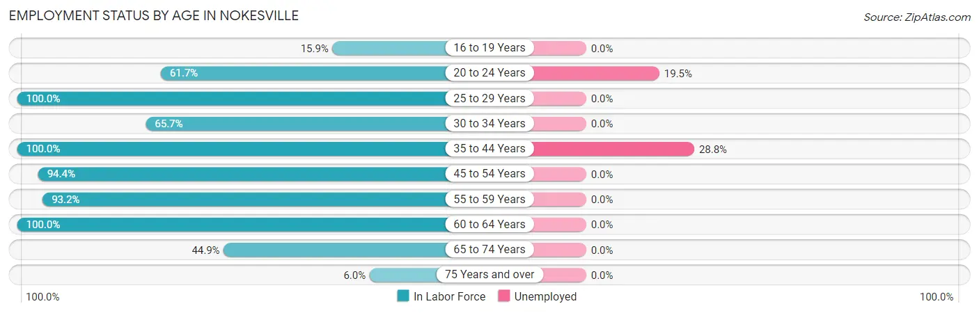 Employment Status by Age in Nokesville