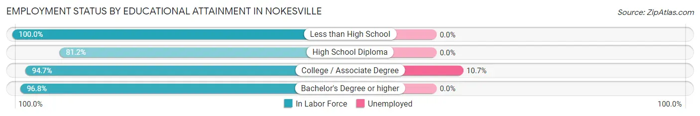 Employment Status by Educational Attainment in Nokesville