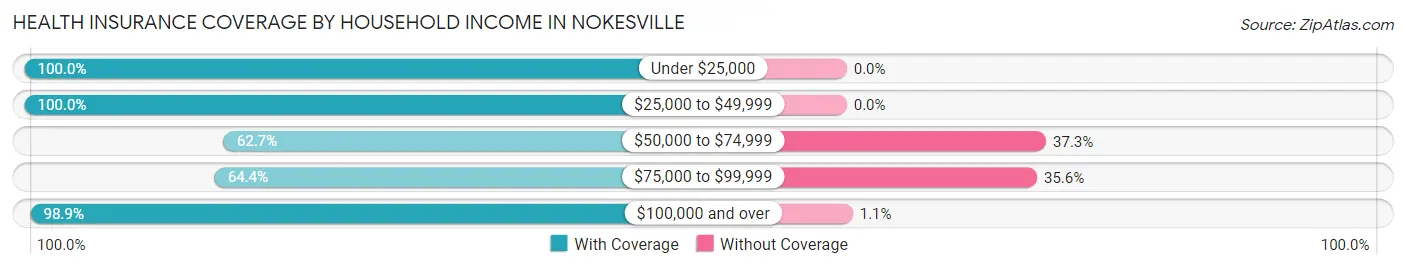 Health Insurance Coverage by Household Income in Nokesville