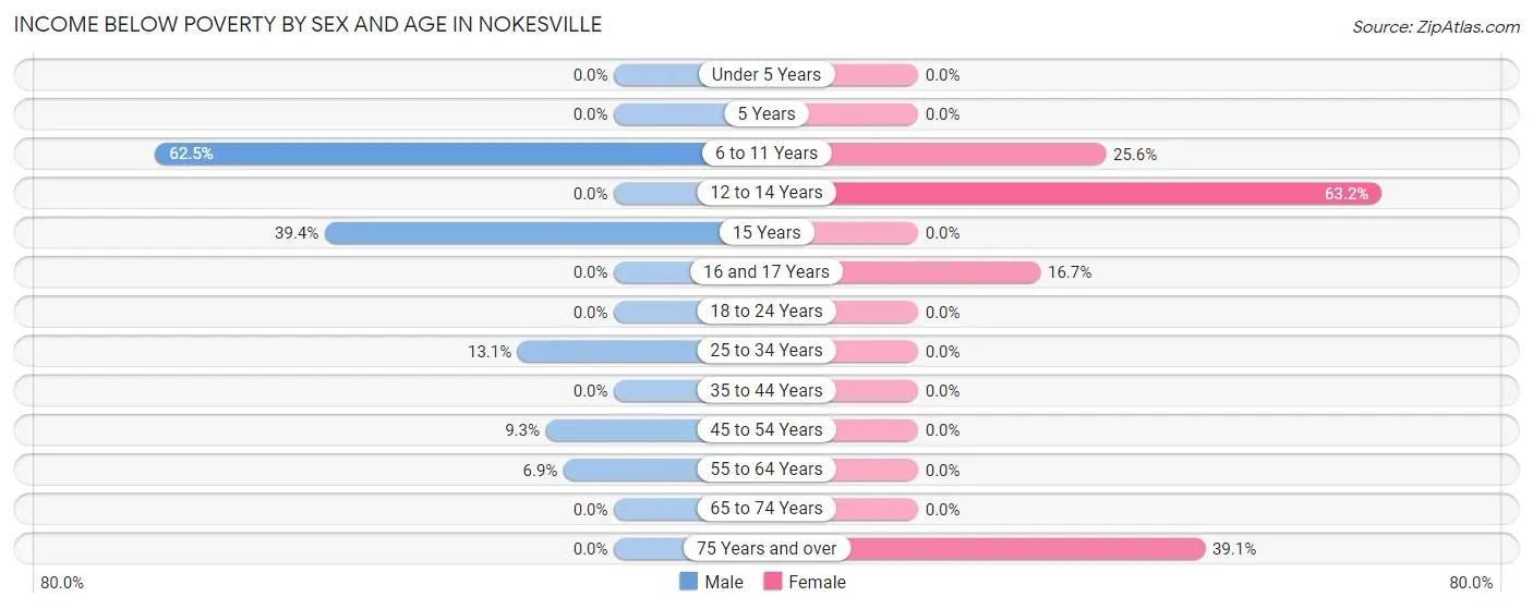 Income Below Poverty by Sex and Age in Nokesville