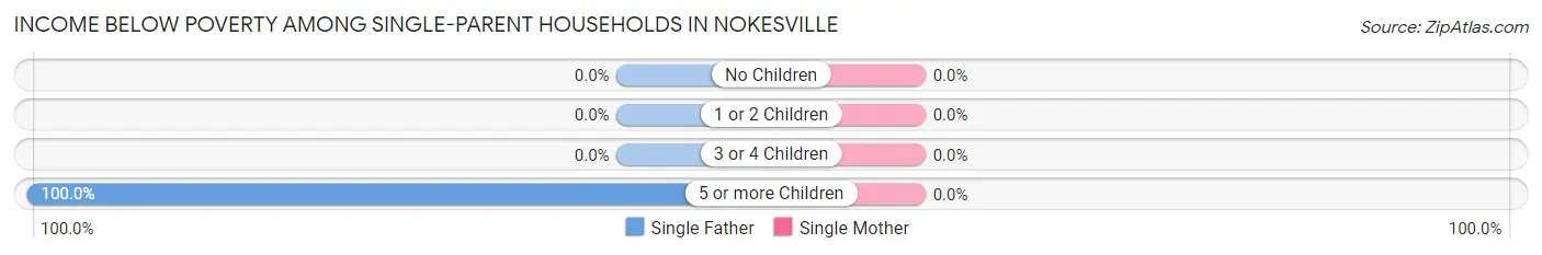 Income Below Poverty Among Single-Parent Households in Nokesville