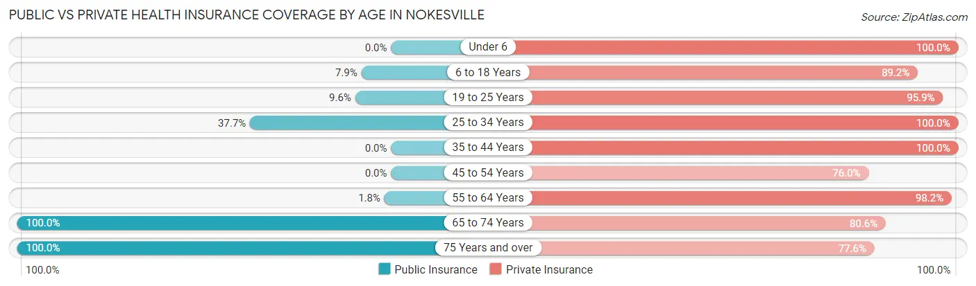 Public vs Private Health Insurance Coverage by Age in Nokesville