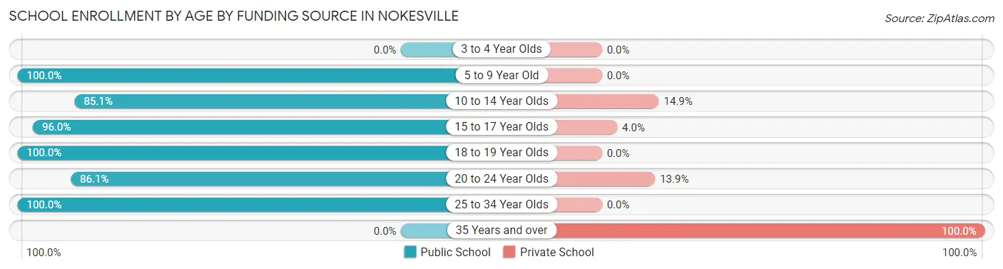 School Enrollment by Age by Funding Source in Nokesville