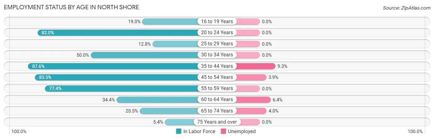 Employment Status by Age in North Shore