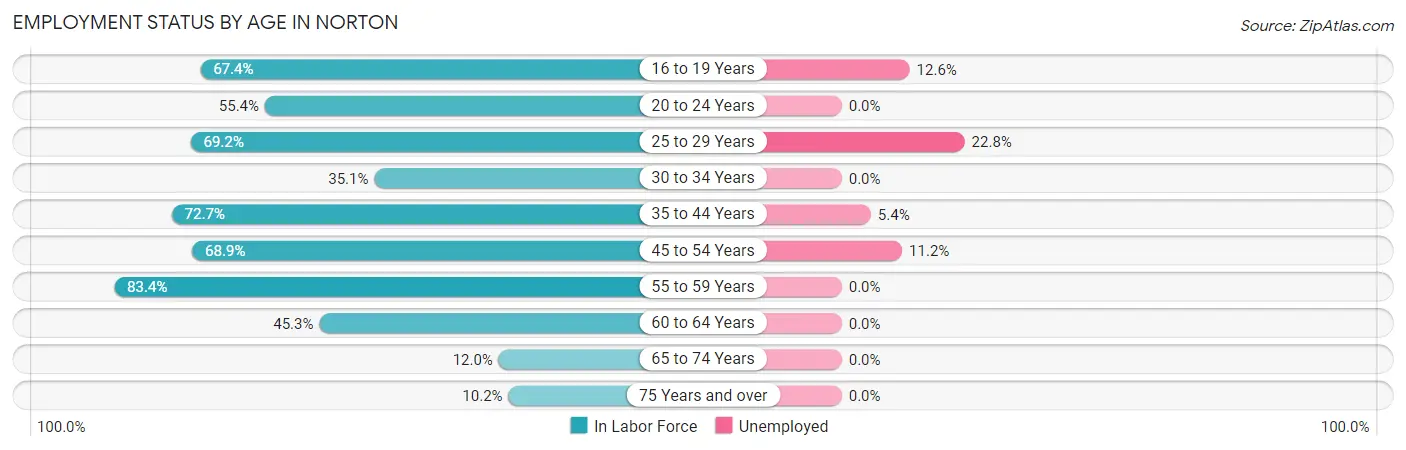 Employment Status by Age in Norton