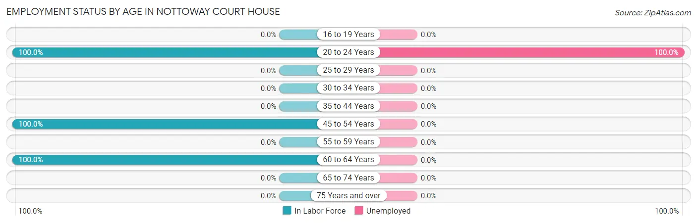 Employment Status by Age in Nottoway Court House