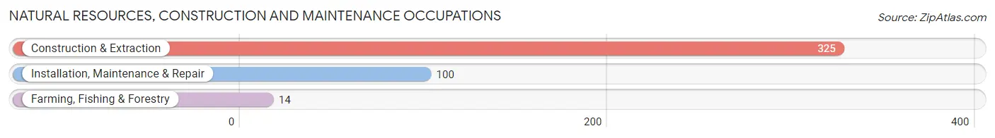 Natural Resources, Construction and Maintenance Occupations in Oakton