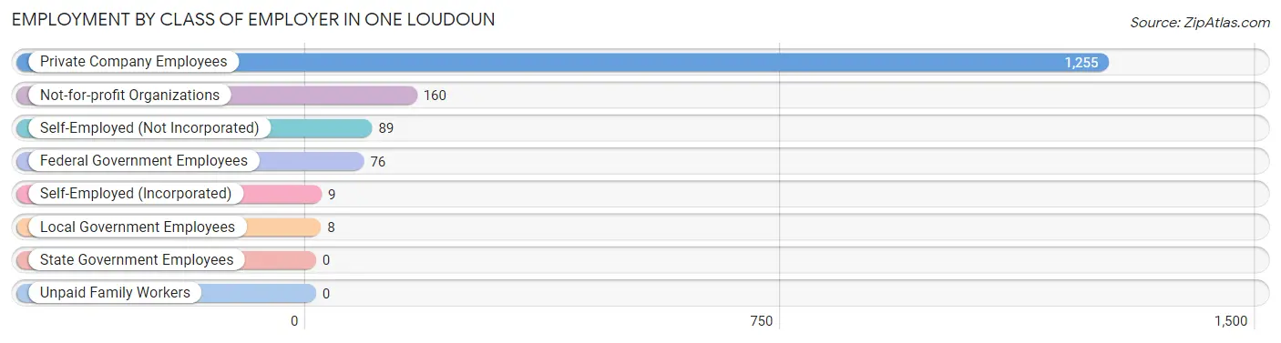 Employment by Class of Employer in One Loudoun