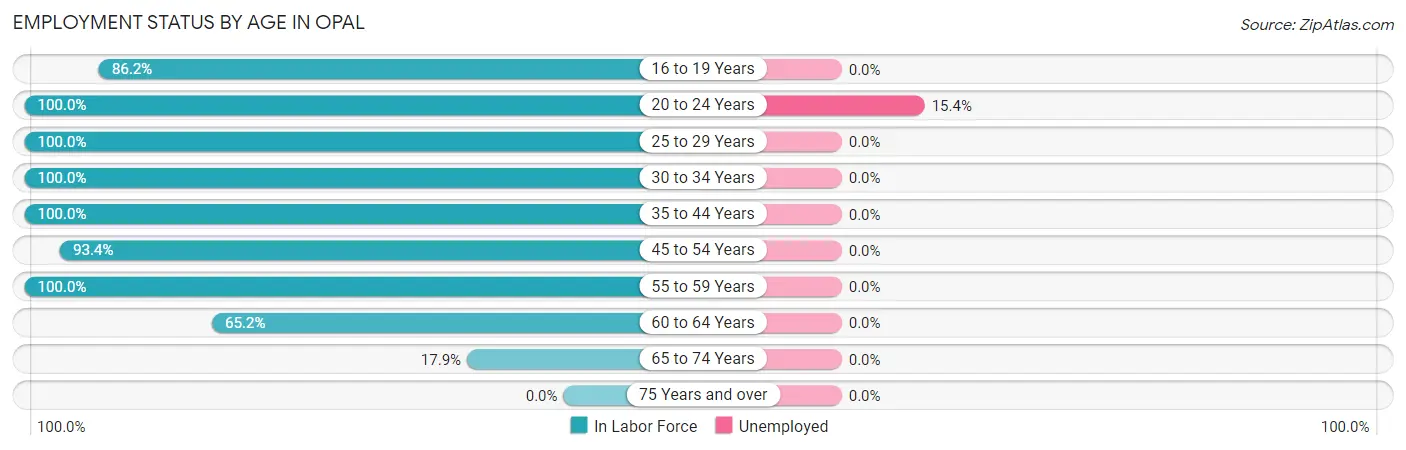 Employment Status by Age in Opal